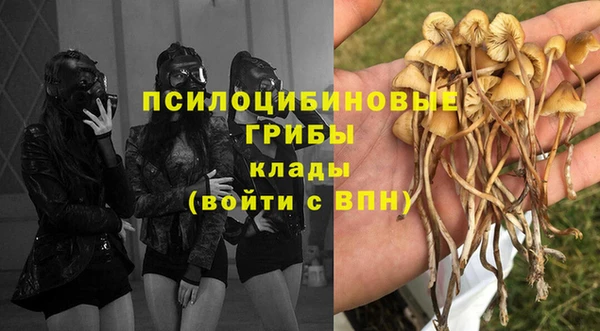 mix Богородицк